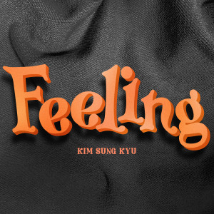 อัลบัม Feeling ศิลปิน Kim Sung Kyu