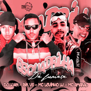 收聽Mc Levinho LV的Esquadrilha da Fumaça (feat. Mc Amaral)歌詞歌曲