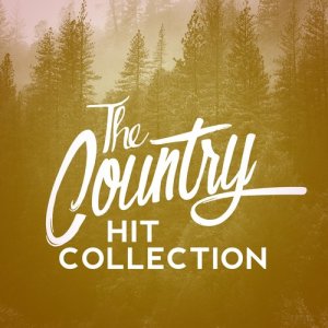 ดาวน์โหลดและฟังเพลง Desperado พร้อมเนื้อเพลงจาก Country Rock Party