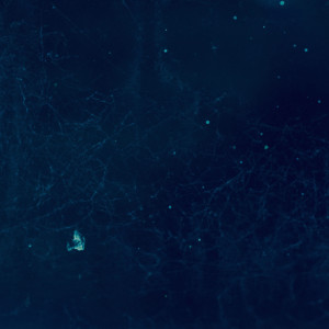 Listen to Stranger song with lyrics from Tim Linghaus