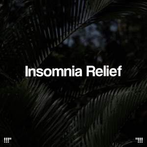 Album "!!! Insomnia Relief !!!" oleh Sleep Sounds of Nature