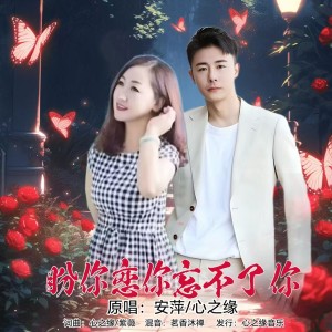 收听安萍的盼你恋你忘不了你（深情合唱版） (伴奏)歌词歌曲