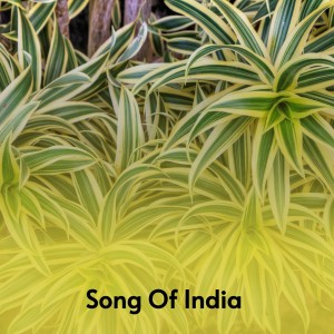Listen to Ears of Stone song with lyrics from The Network