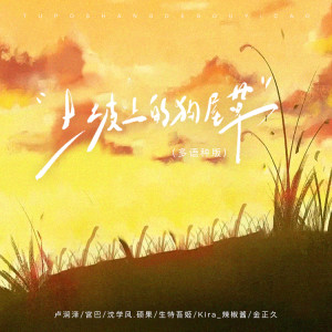 Album 土坡上的狗尾巴草（多语版） from 卢润泽