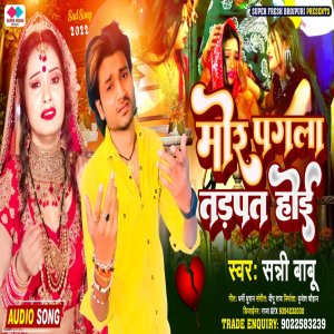 Listen to Mor Pagala Tadapat Hoe song with lyrics from Sunny Babu