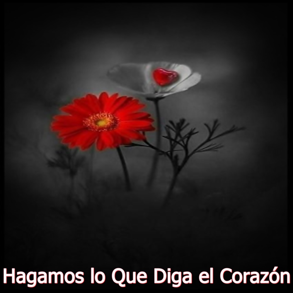 Hagamos lo Que Diga el Corazón