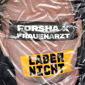 Listen to Laber Nicht (Explicit) song with lyrics from Forsha