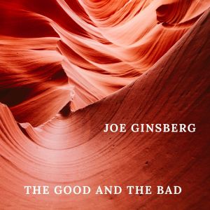 Album The Good And The Bad from Joe Ginsberg