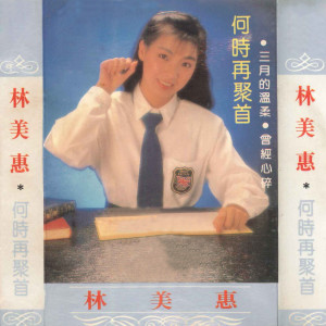 Dengarkan lagu 何时再聚首 nyanyian 林美惠 dengan lirik