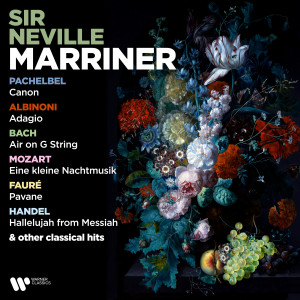 ดาวน์โหลดและฟังเพลง II. Largo พร้อมเนื้อเพลงจาก Neville Marriner