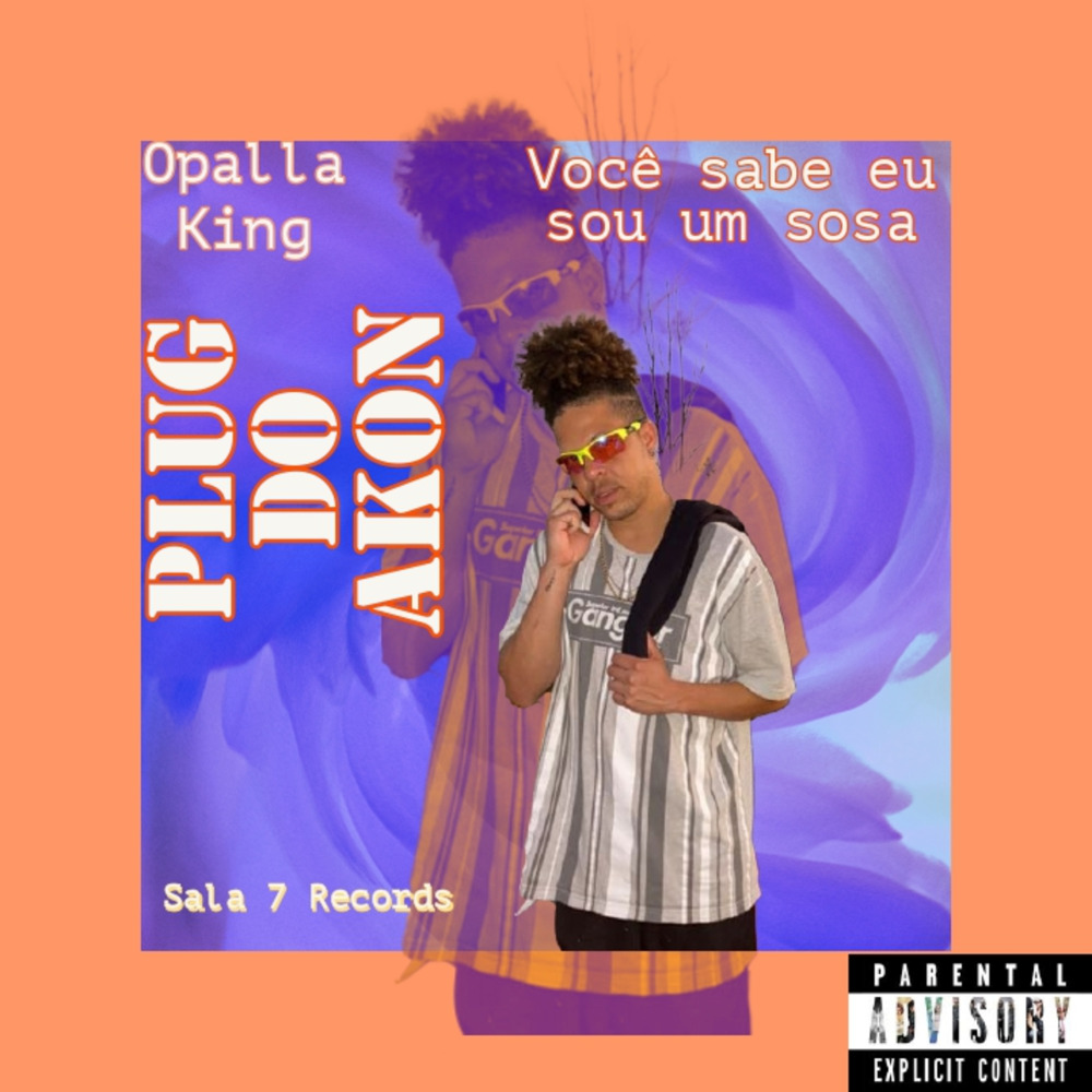 Plug do Akon (Você Sabe Eu Sou um Sosa)