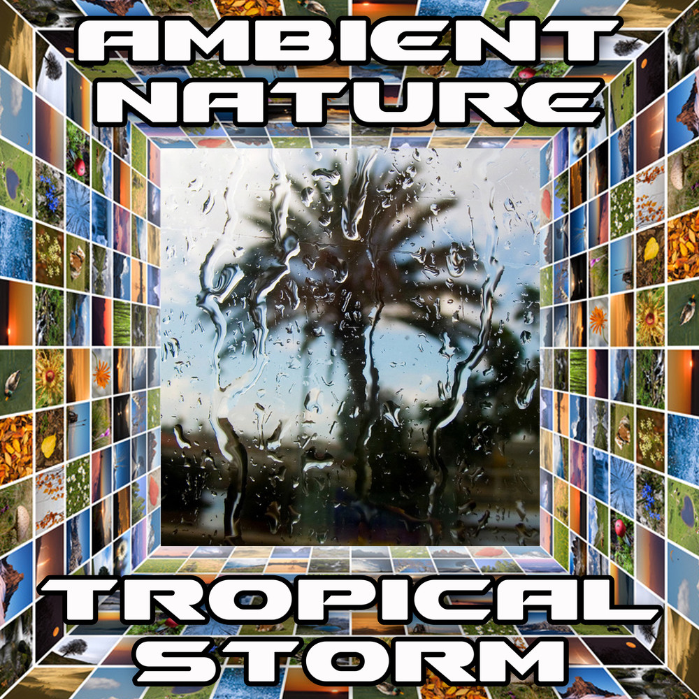 Tropical Storm (Original)