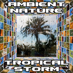 ดาวน์โหลดและฟังเพลง Tropical Storm (Original) พร้อมเนื้อเพลงจาก Ambient Nature