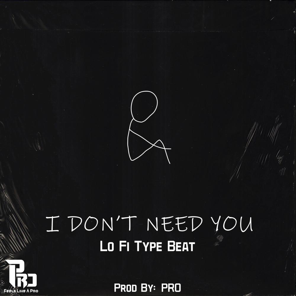 I Don't Need You