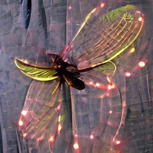 ดาวน์โหลดและฟังเพลง firefly พร้อมเนื้อเพลงจาก Drazzit