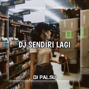 收聽DJ PALSU的DJ Sendiri Lagi歌詞歌曲