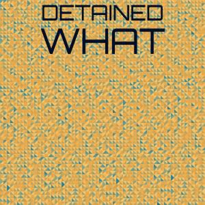 อัลบัม Detained What ศิลปิน Various Artists