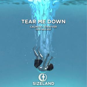 ดาวน์โหลดและฟังเพลง Tear Me Down พร้อมเนื้อเพลงจาก CALINITE
