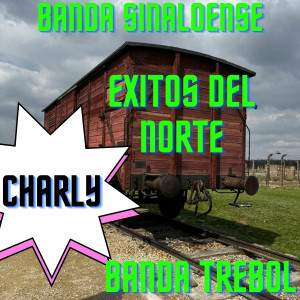 ดาวน์โหลดและฟังเพลง Venganza Cumplida พร้อมเนื้อเพลงจาก Charly