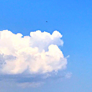 收聽Garfio R的Tuuuuú歌詞歌曲