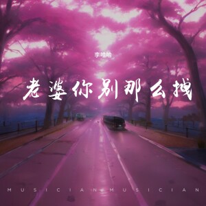 Listen to 老婆你别那么拽 (Remix) song with lyrics from 李哈哈