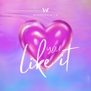 ดาวน์โหลดและฟังเพลง You Like It พร้อมเนื้อเพลงจาก Wicked (Of Ghetto Mafia)