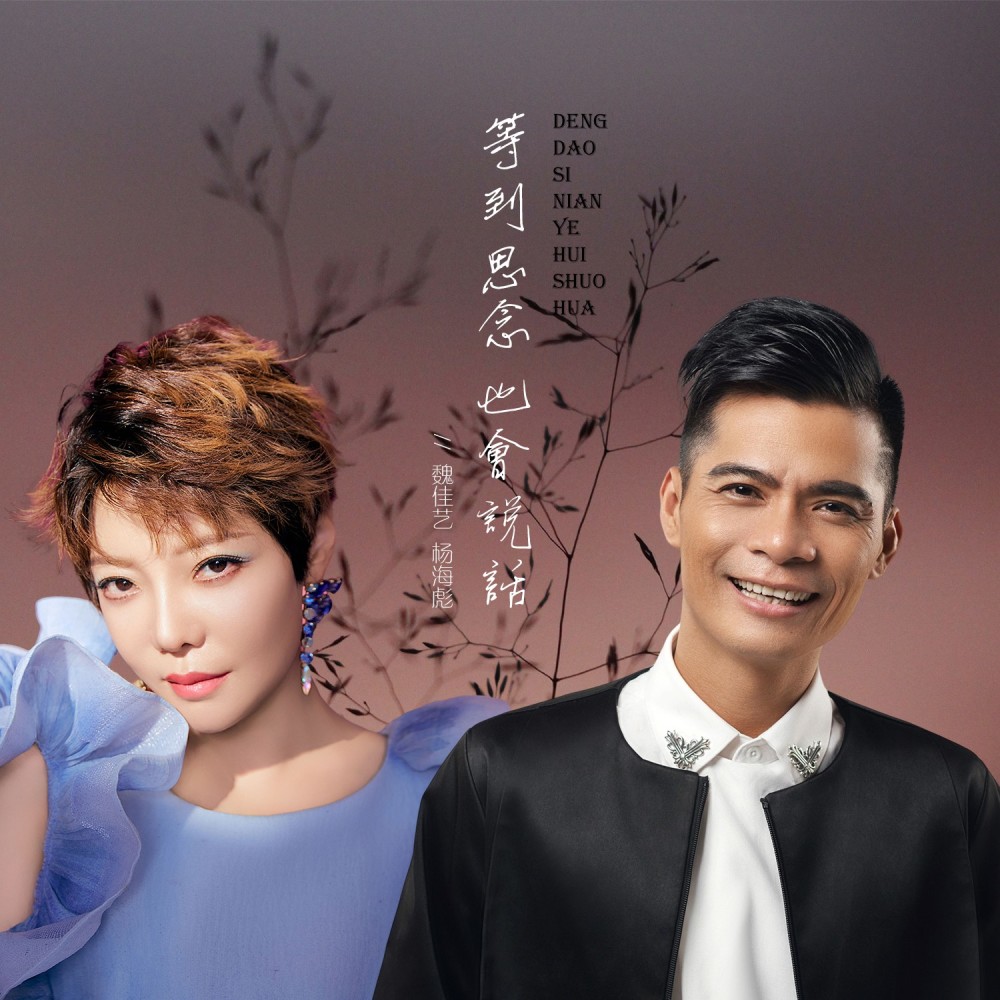 等到思念也会说话（深情对唱） (伴奏)