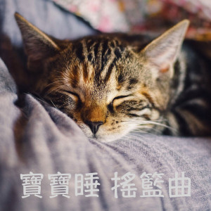 Listen to 钢片琴的摇篮曲 song with lyrics from 儿童音乐精选
