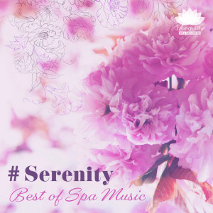收听Tranquility Spa Universe的Spa Sounds 2019歌词歌曲