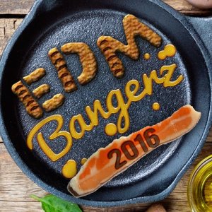 EDM 2015的專輯EDM Bangerz 2016