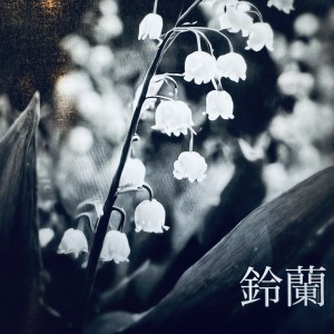 收听DOUBLE-Y的鈴蘭 (feat. 桜乃そら)歌词歌曲