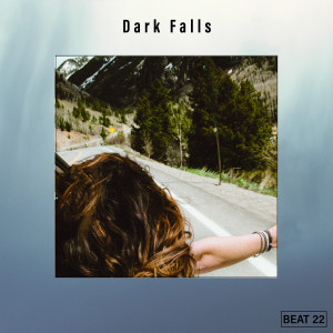 อัลบัม Dark Falls Beat 22 ศิลปิน Various