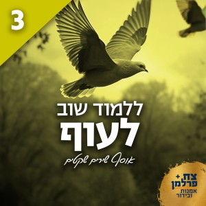 Listen to ספק song with lyrics from Ilana Avital