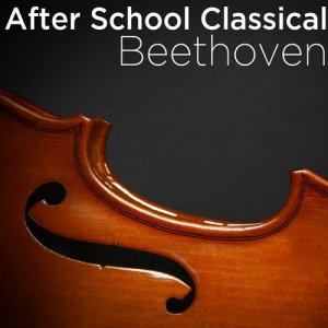 收聽群星的Fidelio Overture: I. Allegro ma non troppo歌詞歌曲