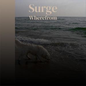Listen to Likud Upward song with lyrics from Harie Busan
