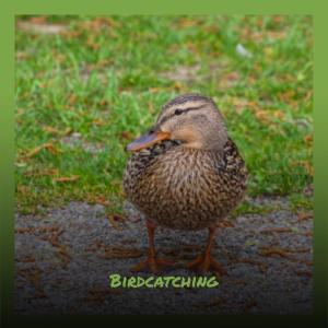 ดาวน์โหลดและฟังเพลง Ahmed Fabella พร้อมเนื้อเพลงจาก Ants Suer