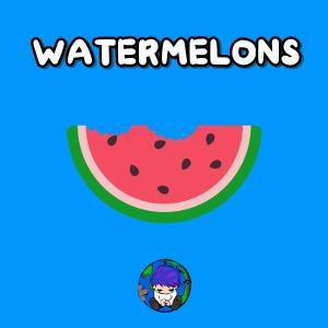 ดาวน์โหลดและฟังเพลง Watermelons (Explicit) พร้อมเนื้อเพลงจาก No Gravity