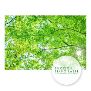 Listen to The Maple Leaves Fall Nature Version (Nature Ver.) song with lyrics from 에버블루