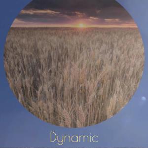 Various的专辑Dynamic