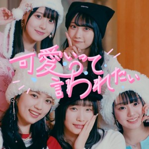 TAKANE NO NADESHIKO的专辑Kawaiitte Iwaretai