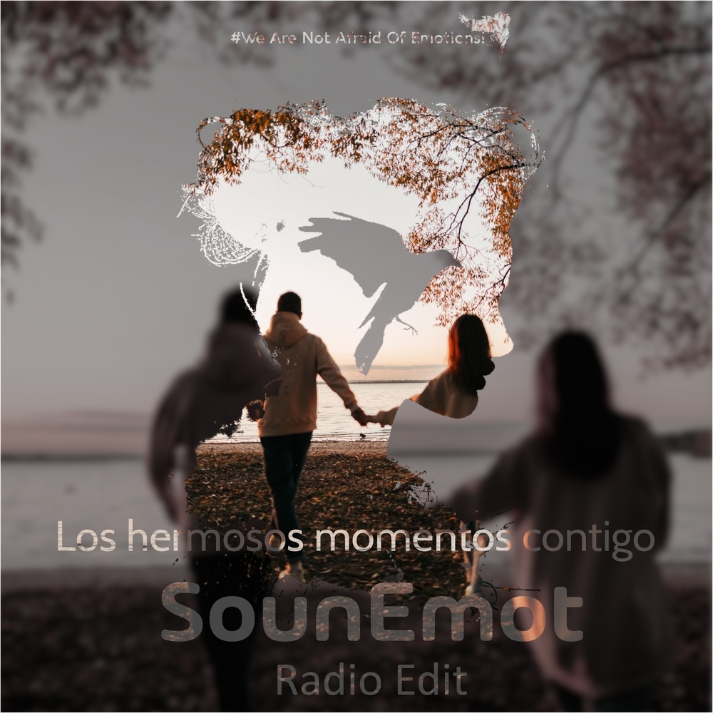 Los Hermosos Momentos Contigo (Radio Edit)