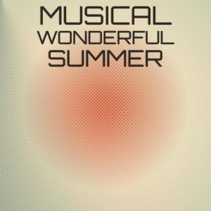Various Artists的專輯Musical Wonderful Summer