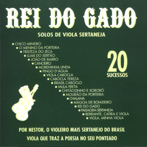 收聽Nestor Da Viola的Pingo D'Água歌詞歌曲