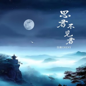 Album 思君不见君 from 沉虞CHENY
