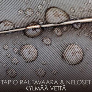 Tapio Rautavaara的專輯Kylmää Vettä