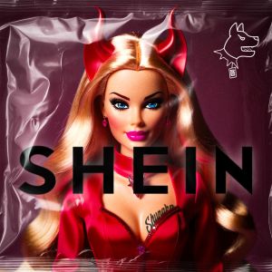 Album SHEIN (Explicit) from Shunaka