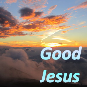 Listen to J-E-S-U-S Spells Jesus (其他) song with lyrics from Brother Miller and The Milleraires