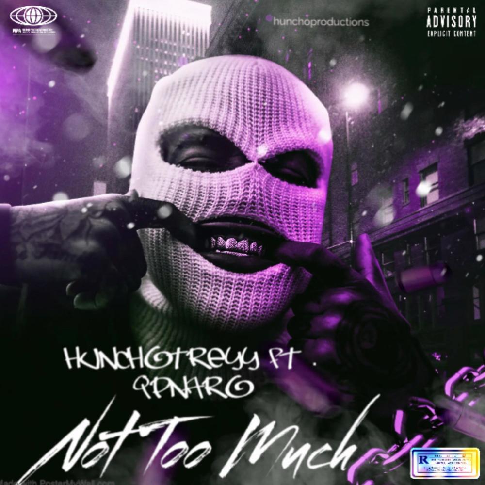 Not Too Much (feat. qpnaro) (Explicit)