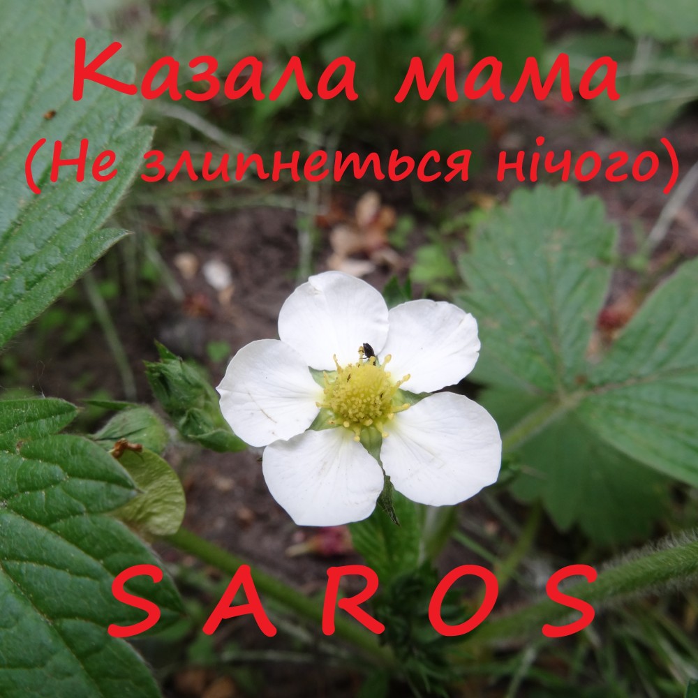 Казала мама(Не злипнеться нічого) (Instrumental Version)