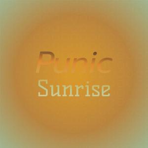 Various的专辑Punic Sunrise
